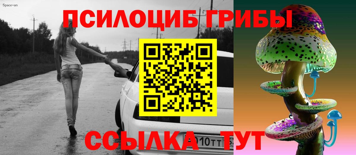 Псилоцибиновые грибы мицелий  Вход с VPN  Сокол 