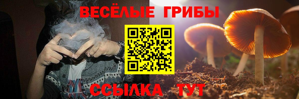 Галлюциногенные грибы Cubensis Сокол