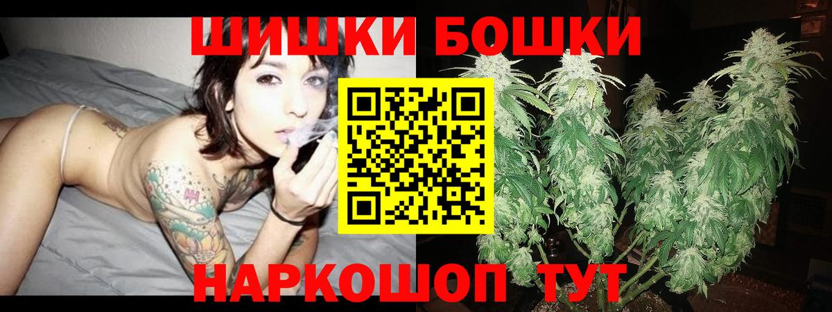 Канабис OG Kush Сокол